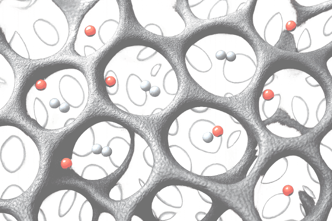 Структура адсорбента CMS